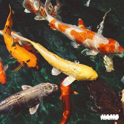 No Name — Baby Keem
