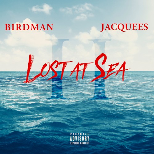 Lost at Sea II — Birdman