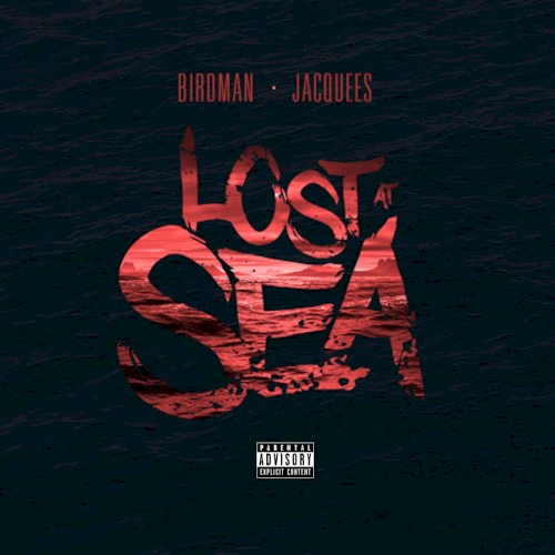 Lost at Sea — Birdman
