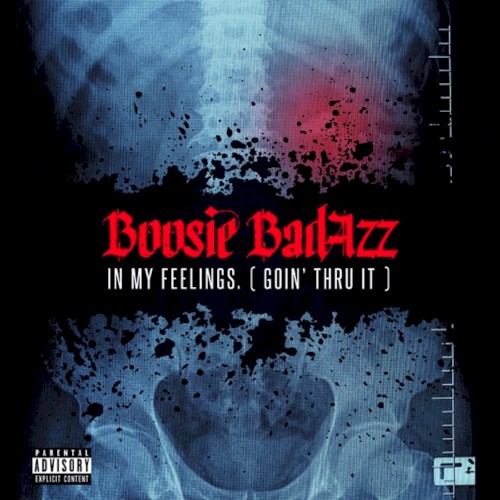 In My Feelings. (Goin’ Thru It) — Boosie Badazz