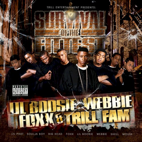 Survival of the Fittest — Boosie Badazz