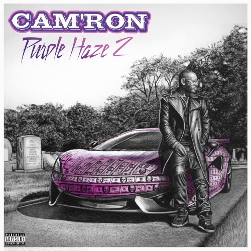 Purple Haze 2 — Cam'ron