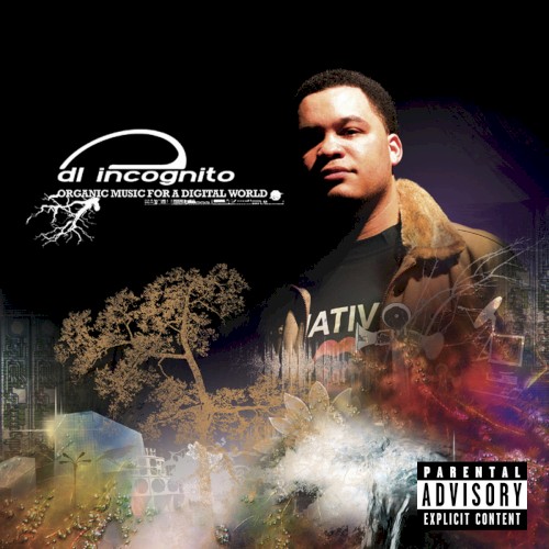 Organic Music for a Digital World — DL Incognito