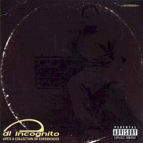 Life's a Collection of Experiences — DL Incognito
