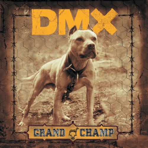 Grand Champ — DMX