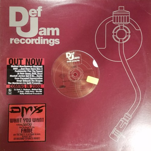 What You Want / Fame — DMX
