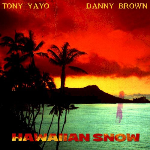 Hawaiian Snow — Danny Brown