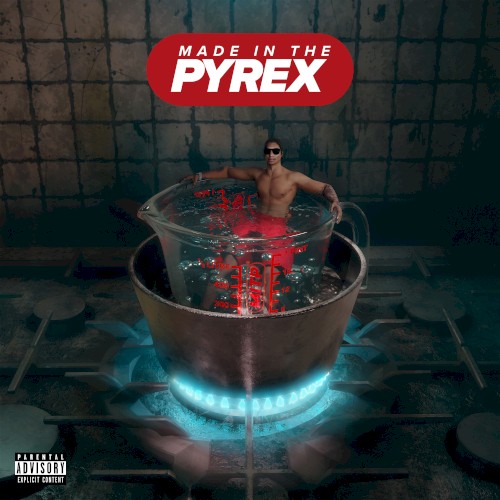 Made in the Pyrex — Digga D