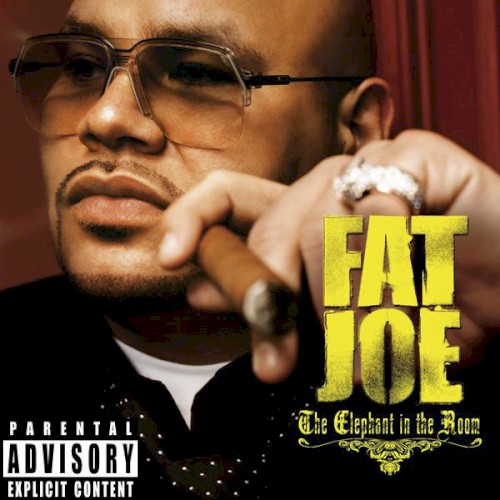 The Elephant in the Room — Fat Joe