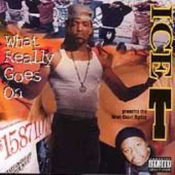 What Really Goes On — Ice-T