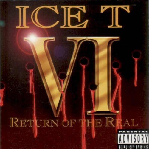 VI: Return of the Real — Ice-T