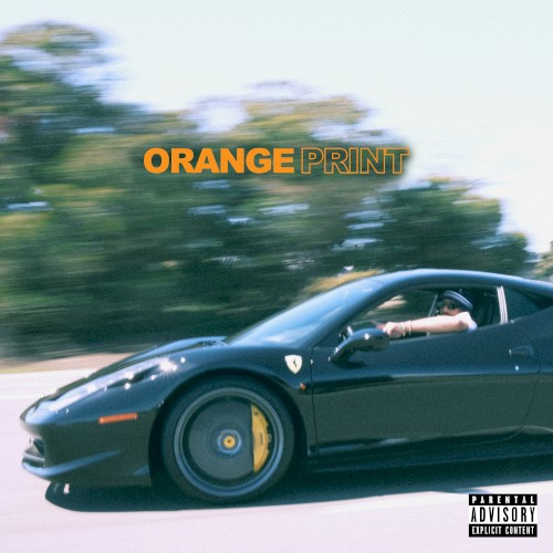Orange Print — Larry June