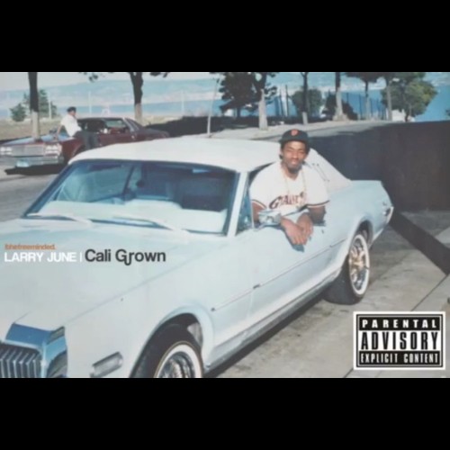 Cali Grown — Larry June