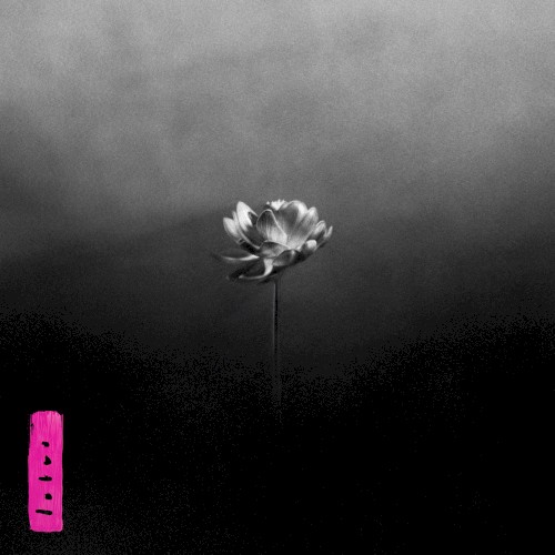 Lotus — Little Simz