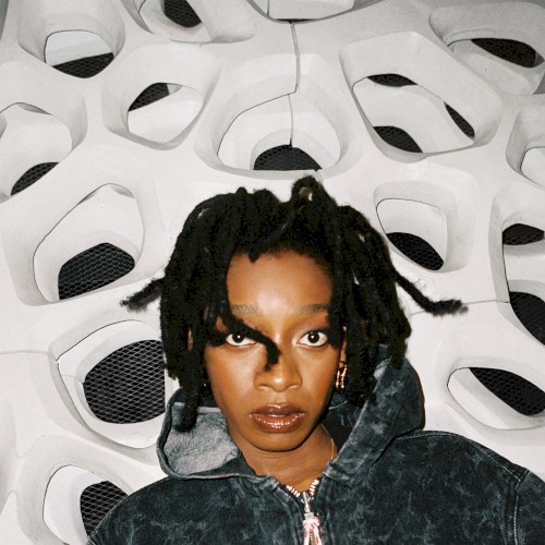 NO THANK YOU — Little Simz