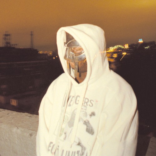 The Prof Meets the SUPER VILLAIN — MF DOOM