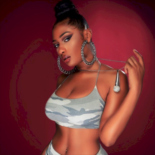 Like a Stallion — Megan Thee Stallion