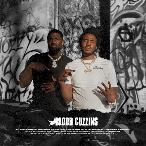 Blood Cuzzins — Mozzy