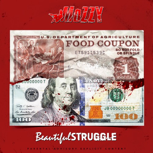 Beautiful Struggle — Mozzy