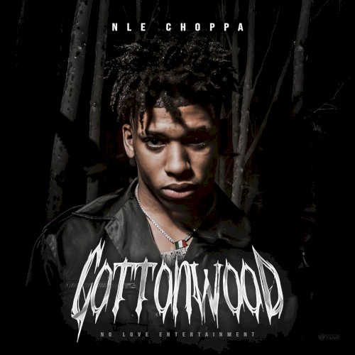 Cottonwood — NLE Choppa