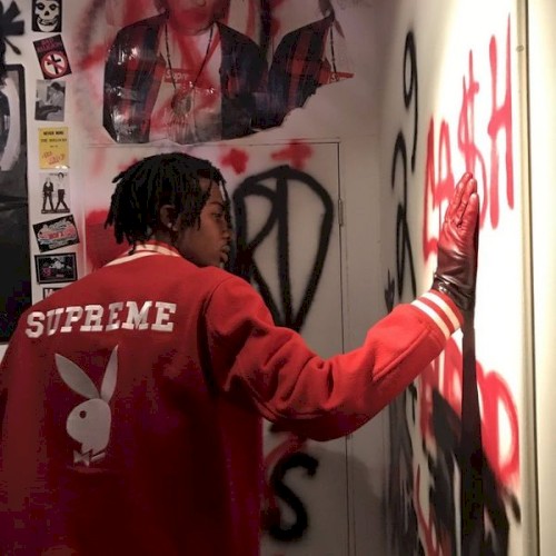 Playboi Paradise — Playboi Carti