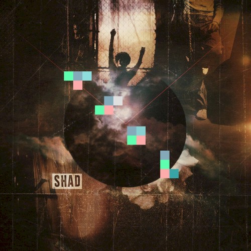 TSOL — Shad