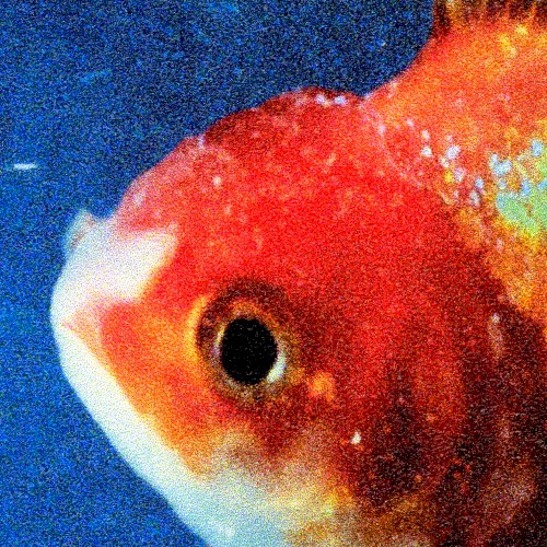 Big Fish Theory — Vince Staples
