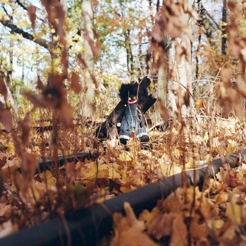 GOLLIWOG — billy woods