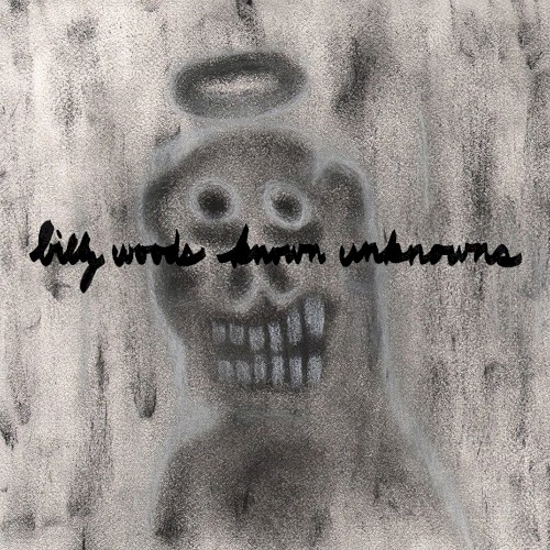 Known Unknowns — billy woods