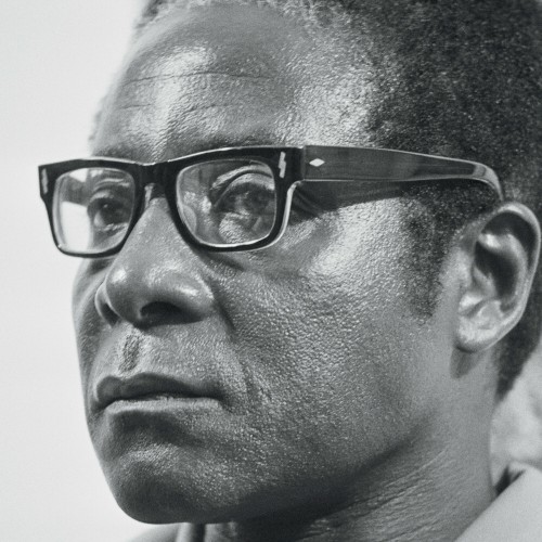 History Will Absolve Me — billy woods
