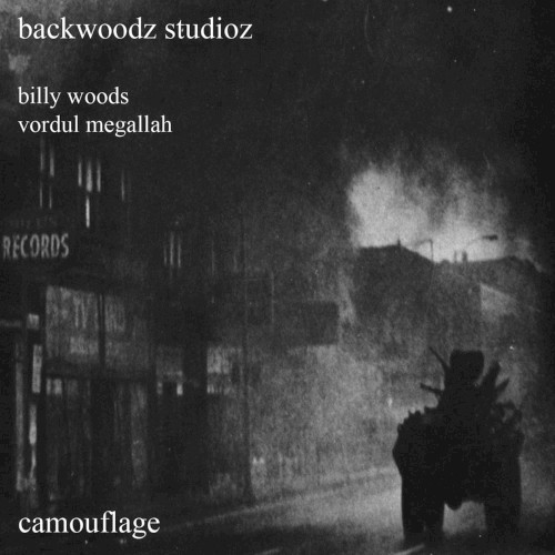Camouflage — billy woods