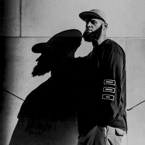 Veins — Homeboy Sandman