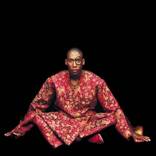 Instant Vintage — Raphael Saadiq