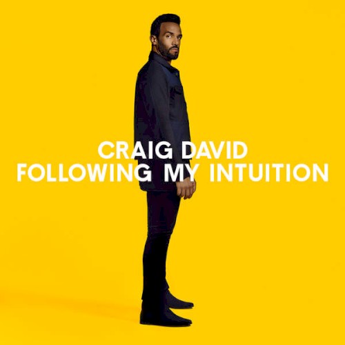 Following My Intuition — Craig David