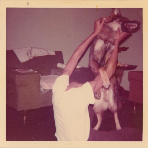 I Told Bessie — Elucid