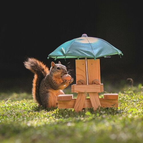 Squirrel Tape Instrumentals, Vol. 3 — Evidence
