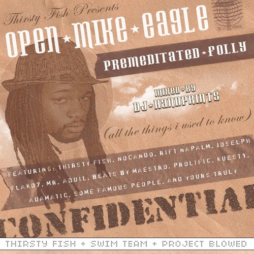 Premeditated Folly — Open Mike Eagle