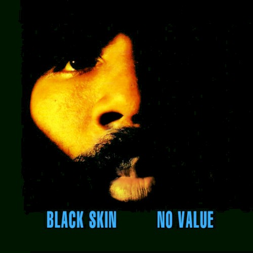 Black Skin No Value — Cody ChesnuTT
