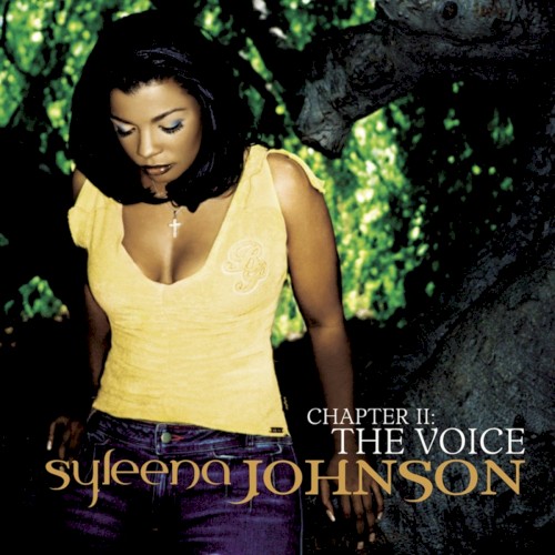 Chapter 2: The Voice — Syleena Johnson