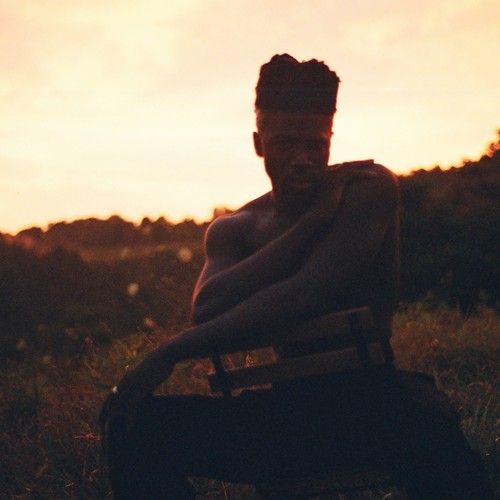 Transfigurations — Moses Sumney