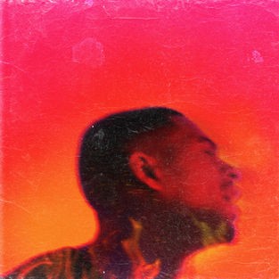 Platinum Fire — Arin Ray