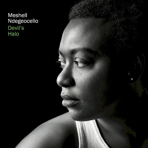 Devil’s Halo — Meshell Ndegeocello