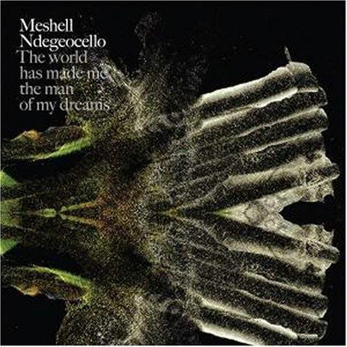 The World Has Made Me the Man of My Dreams — Meshell Ndegeocello