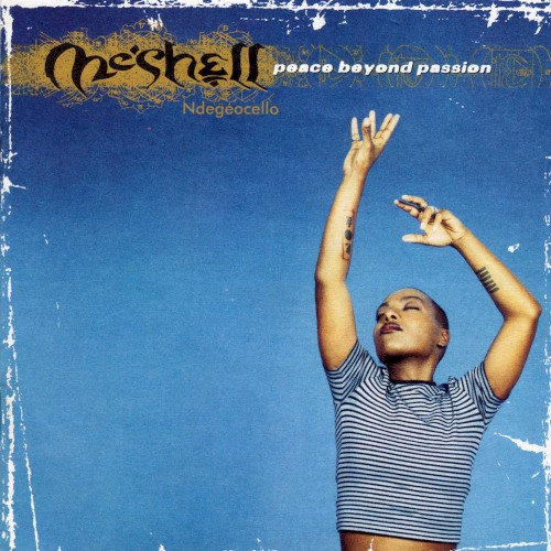 Peace Beyond Passion — Meshell Ndegeocello
