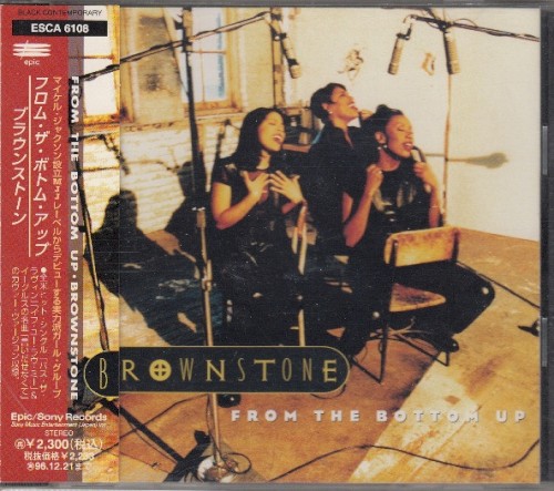From the Bottom Up — Brownstone