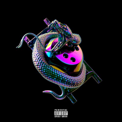 Snakes & Ladders — Chip