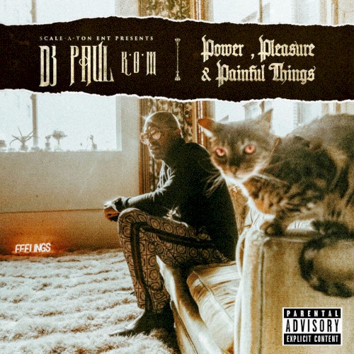 Power, Pleasure & Painful Things — DJ Paul
