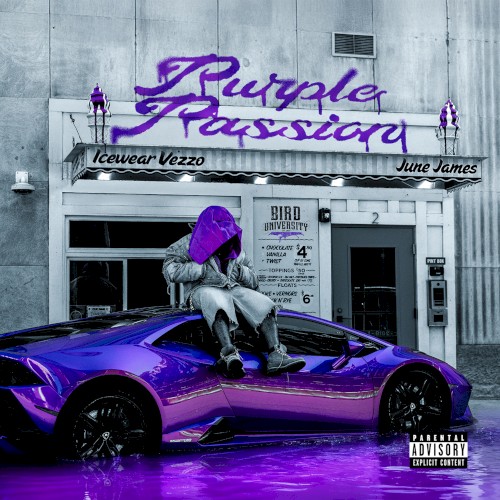 Purple Passion — Icewear Vezzo