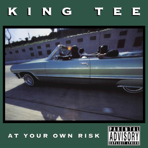 At Your Own Risk — King Tee