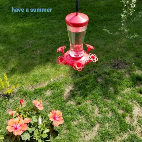 have a summer — Serengeti